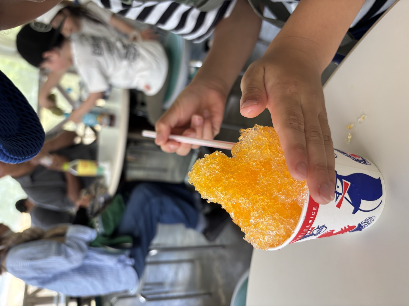 円山動物園で食べたかき氷